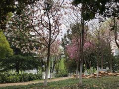 -后襄河公园
