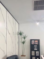 -张小野·专业半永久纹眉