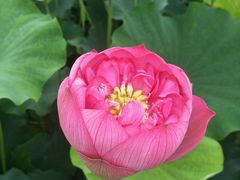 -长安上水缘度假庄园