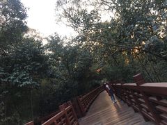-紫金山山顶公园