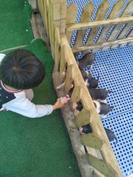 -萌宠亲子动物乐园(槐房万达店)