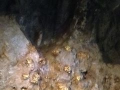 -疏芬山金矿