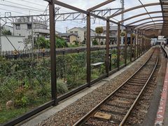 -岚山嵯峨野观光小火车