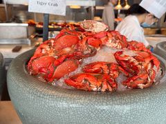 -济南凯宾斯基酒店-THE VIEW云景全日制餐厅