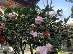 -大妙火锅·非物质文化遗产(东湖公园店)