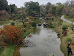 -东莞植物园