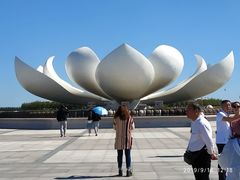 -呼兰河口湿地公园
