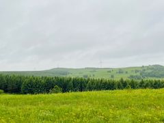 -塞罕坝国家级自然保护区