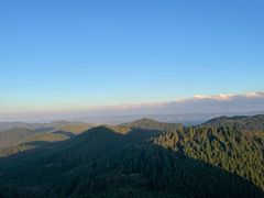 -武陵山森林公园