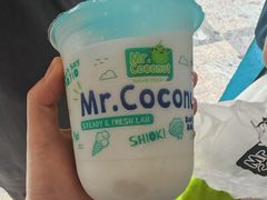 -圣淘沙天际线斜坡滑车