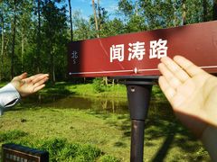 -合肥滨湖国家森林公园