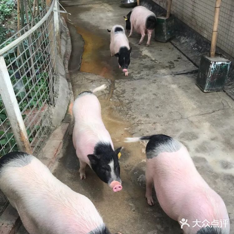 来这个乐园感受自然风情