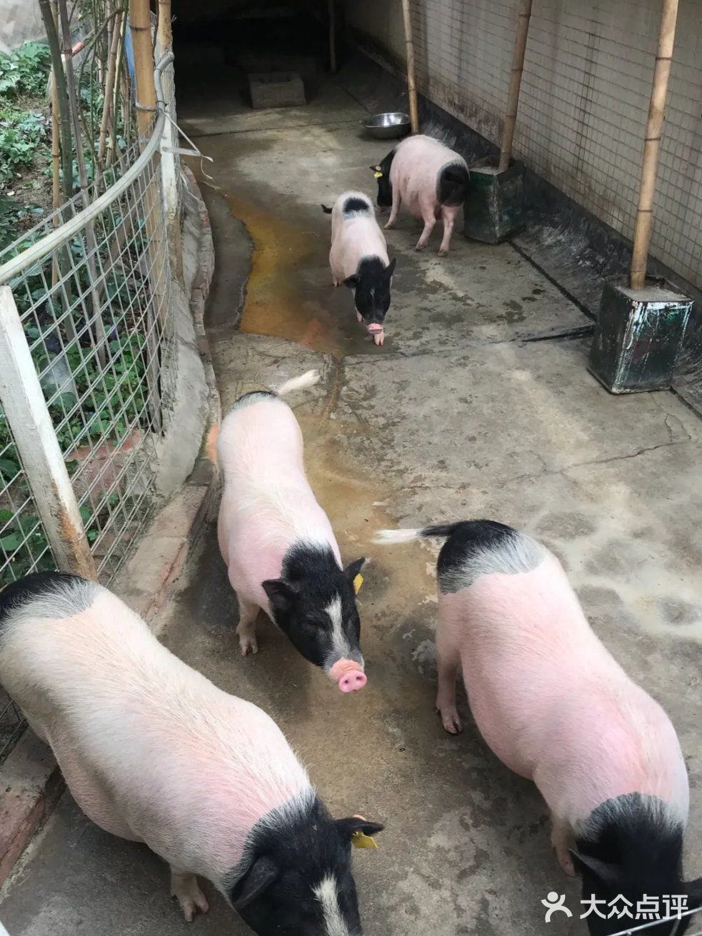 来这个乐园感受自然风情