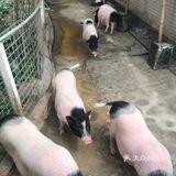 来这个乐园感受自然风情