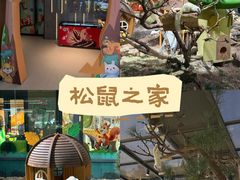 -佛冈森波拉度假区