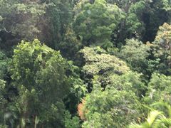 -热带雨林自然公园