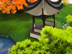 -一盏明灯全素斋(五爷庙店)