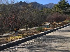 -北京鹫峰国家森林公园