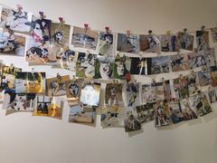 -Husky Go! 哈士奇体验馆·宠物咖啡厅狗咖