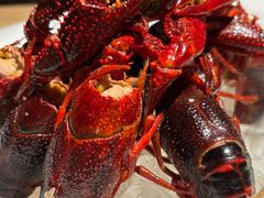 -同福龙虾(高新店)