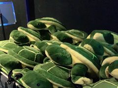 -VS SPORTS PARK运动玩乐园·团建·生日会(合生汇店)