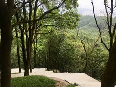 -火炉山森林公园