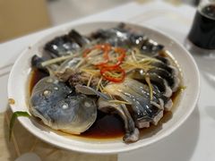 -煲来饱去冷水鱼
