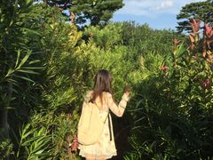 -三鹰之森吉卜力美术馆