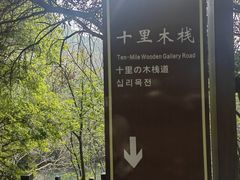 -白马涧龙池景区