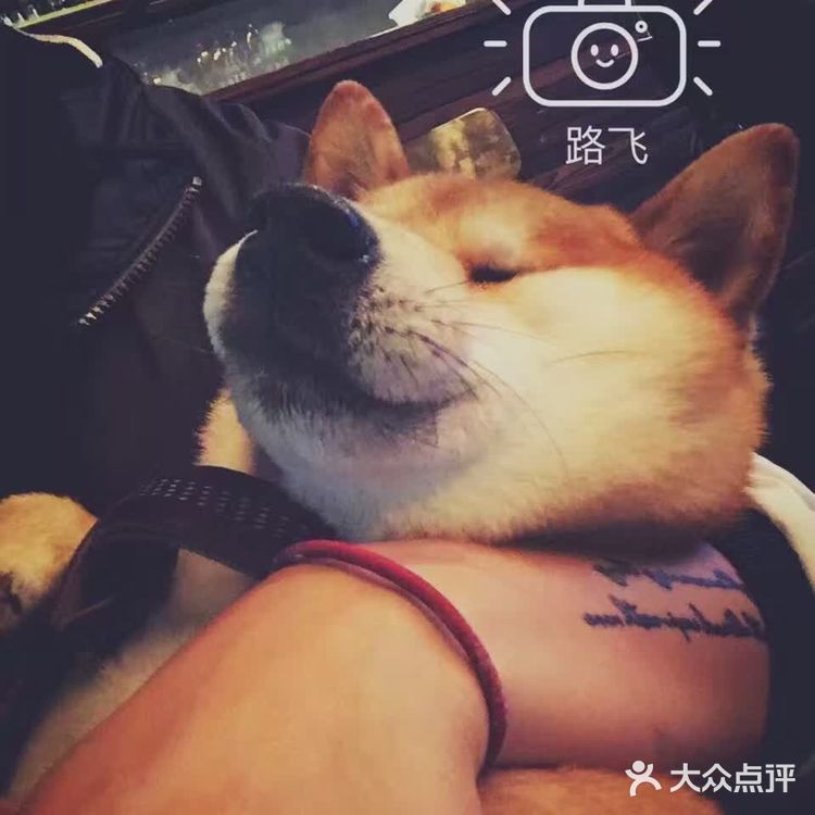 买书送了果壳网的狗年红包太可爱了