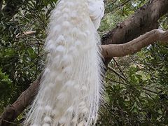 -泉州海丝野生动物世界