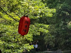 -石台牯牛降景区
