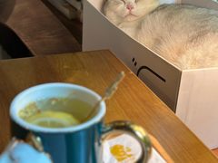 -咖法森林·咖啡  酒吧(天河店)