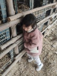 -上美四季动物农场