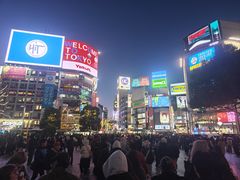 -涩谷全向十字路口