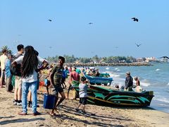 -尼甘布海鲜市场