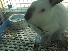 -雨林宠物医院 非犬猫异宠专科