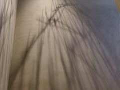 -隐溪茶馆(金虹桥店)