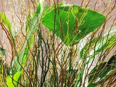 -炳胜公馆(珠江新城店)