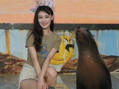 -三亚海昌梦幻海洋不夜城