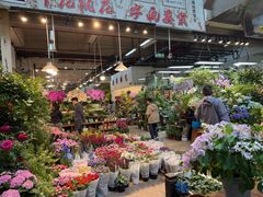 -双季花艺园艺市场(浦东店)