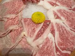 -顺轩海鲜火锅酒家