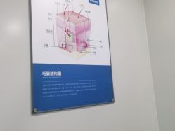 点击看大图 -碧莲盛·不剃发植发
