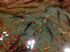 -洛阳龙门海洋馆