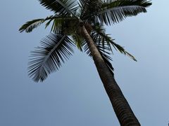 -Avg Coffee(新景苑店)