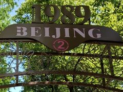 -东平国家森林公园