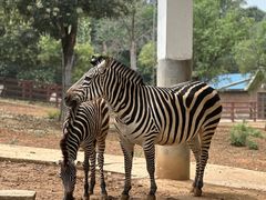 -石家庄市动物园