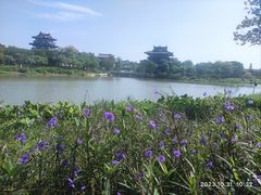 -海珠湖公园