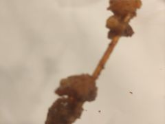 -湘江大码头·龙虾馆(渔人码头一店)