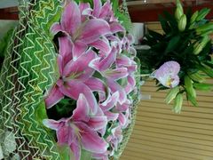 android_upload_pic-卡罗酒店(东门晒布地铁站店)